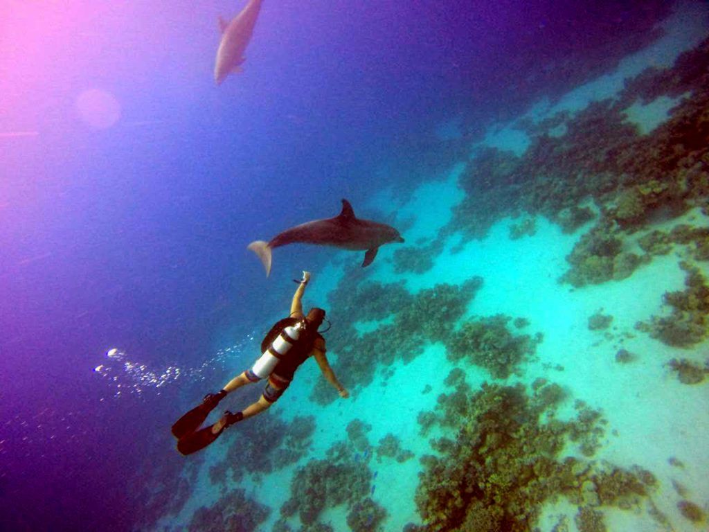 1024x768 The Ultimate Guide to Marsa Alam Holidays. WhyNotEgypt?