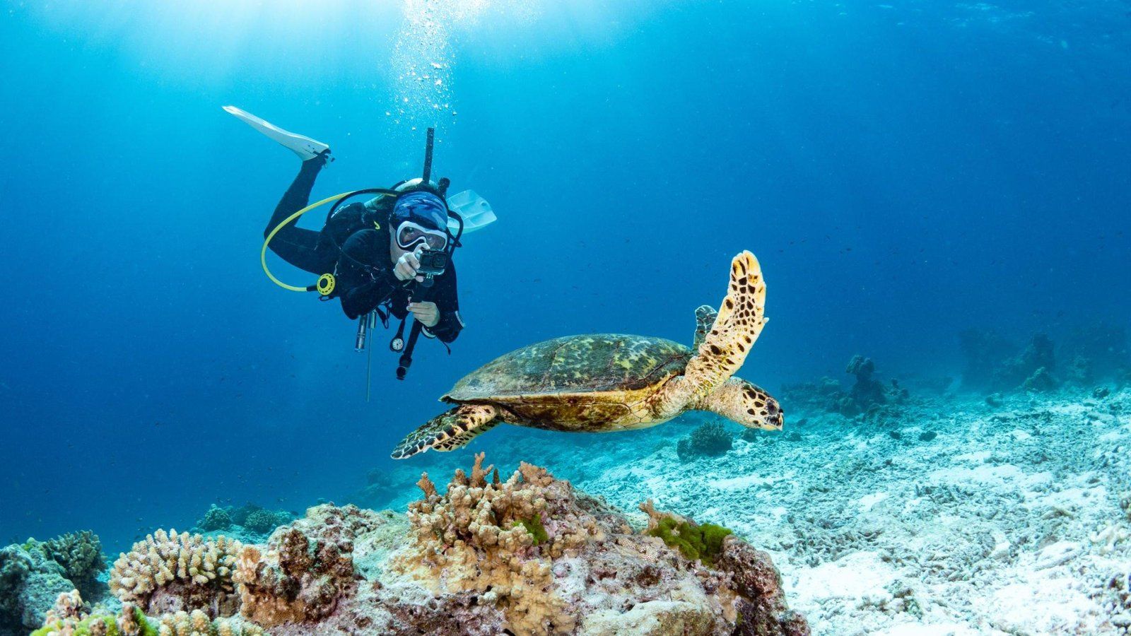 1600x900 Marsa Alam