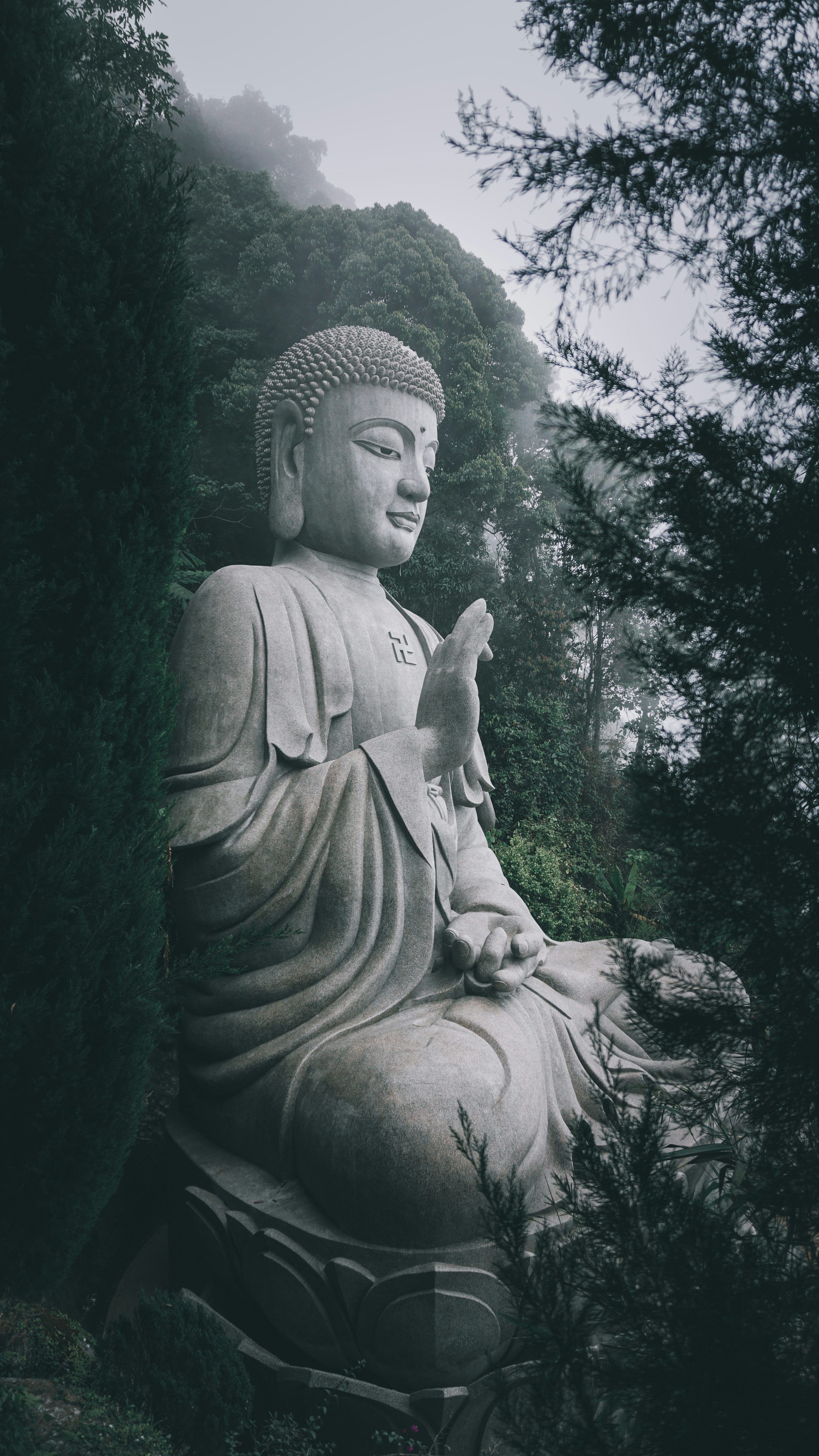 3000x5332 Buddha Wallpaper Picture Image