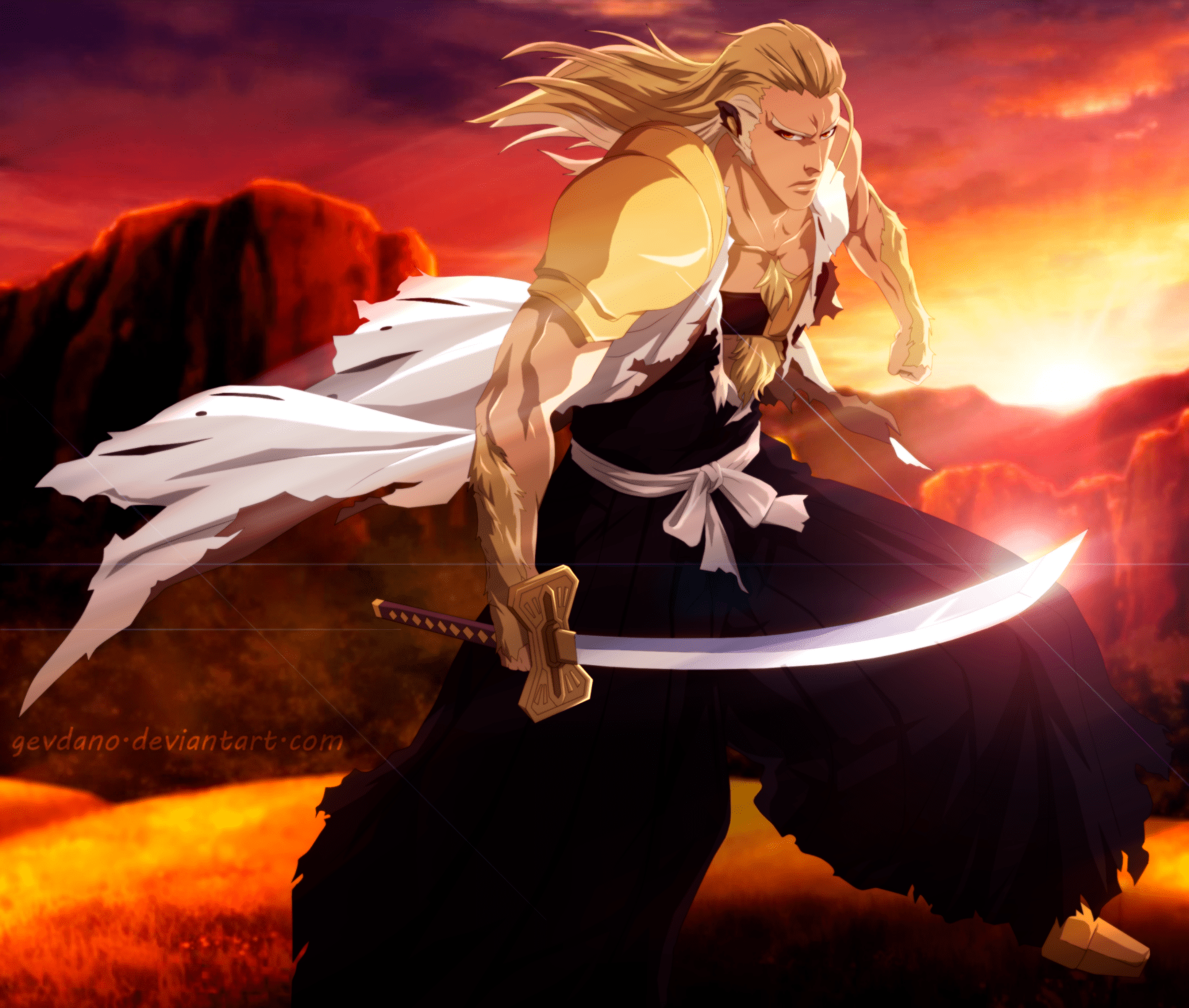 1920x1629 Sajin Komamura HD Wallpaper
