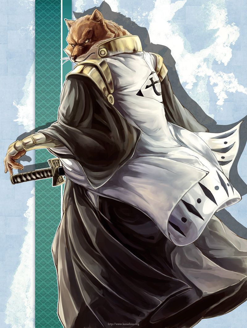 800x1060 Sajin Komamura Wallpaper