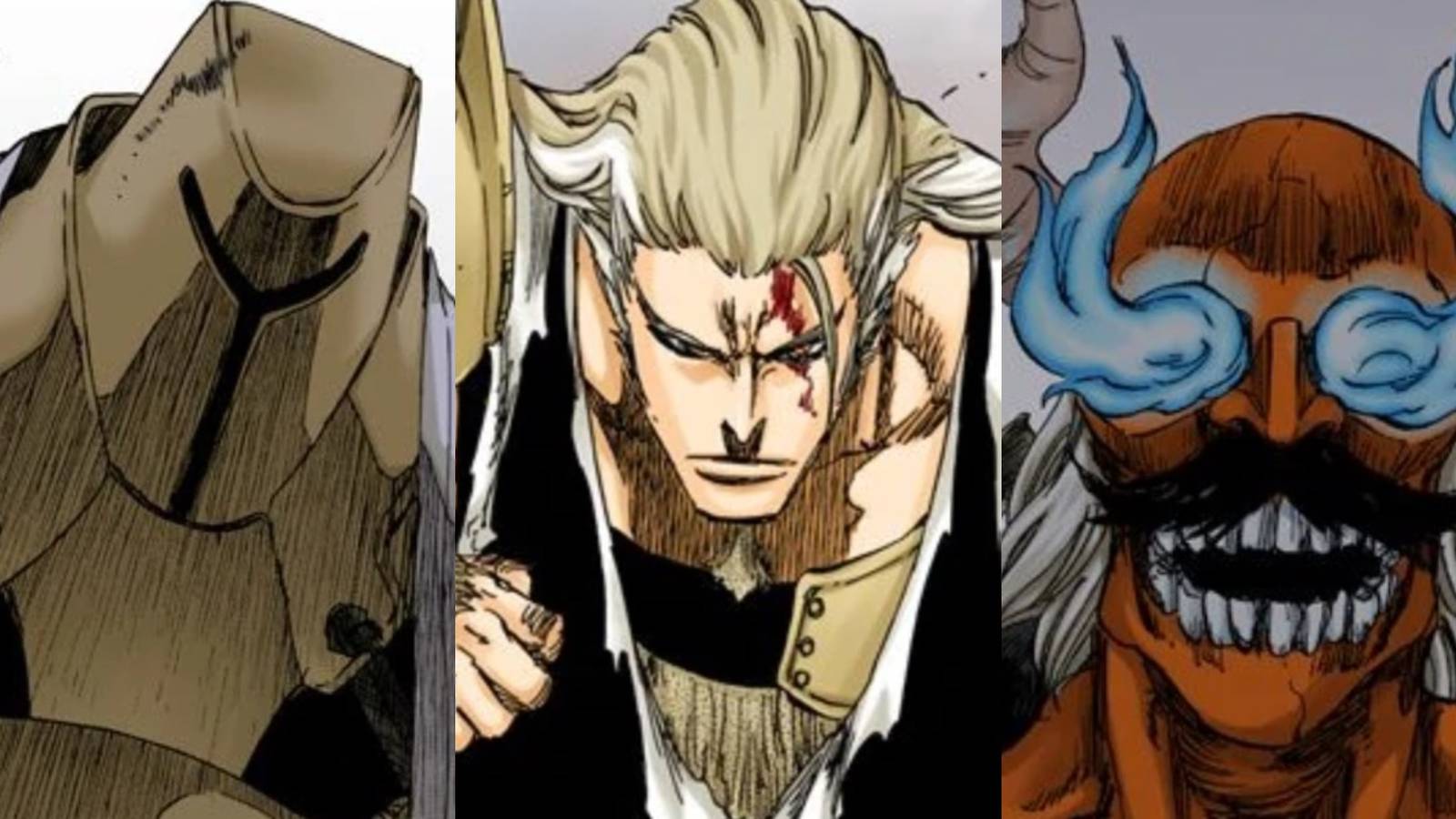 1600x900 Bleach: 10 Things Anime Only Fans Don't Know About Sajin Komamura