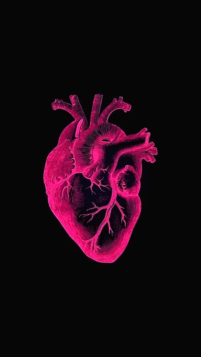 676x1200 pink real heart wallpaper ⌫