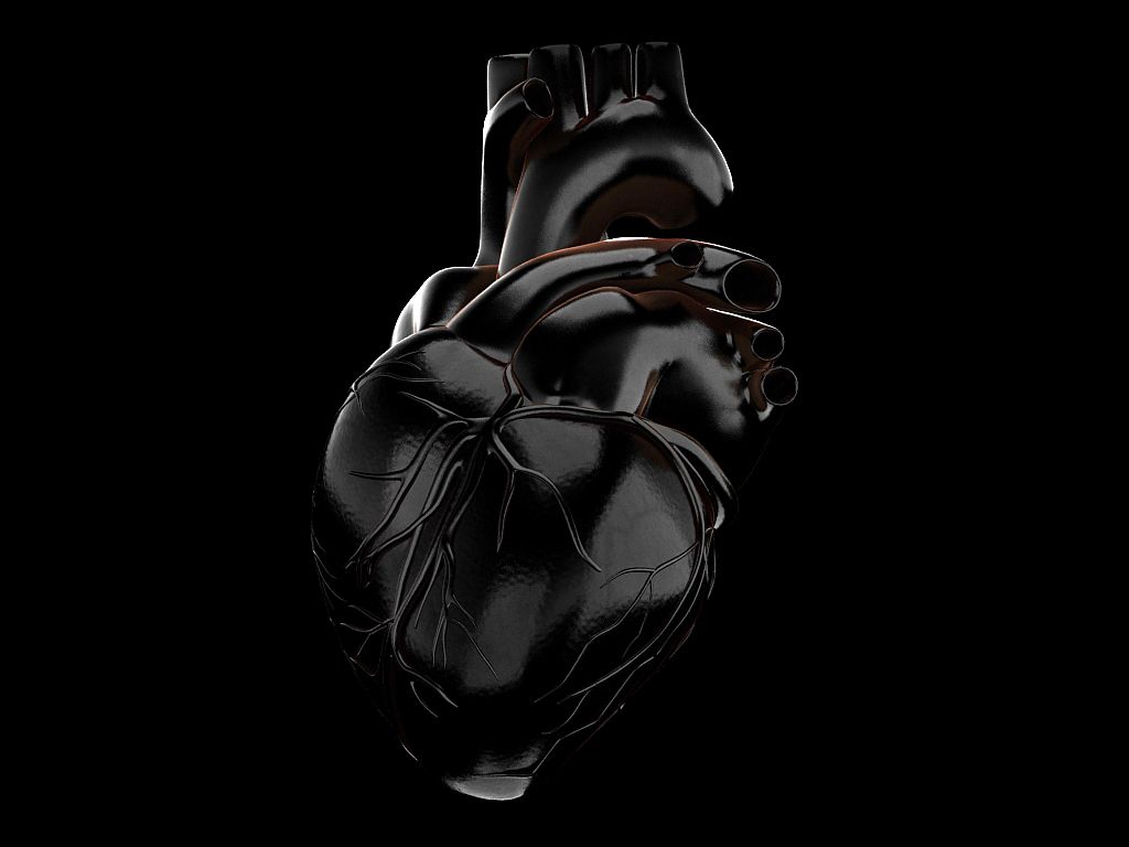 1024x768 Anatomical Heart Wallpaper