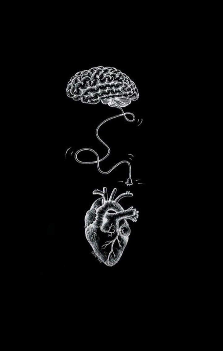 720x1134 Brain Phone Wallpaper