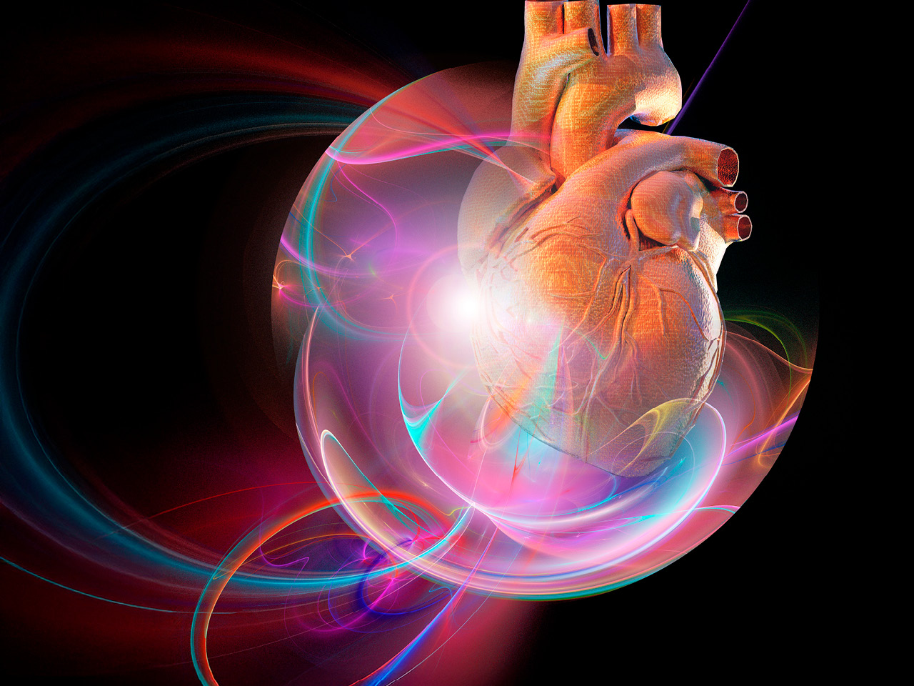 1280x960 Cardiometabolic Health, Weight & Well Being