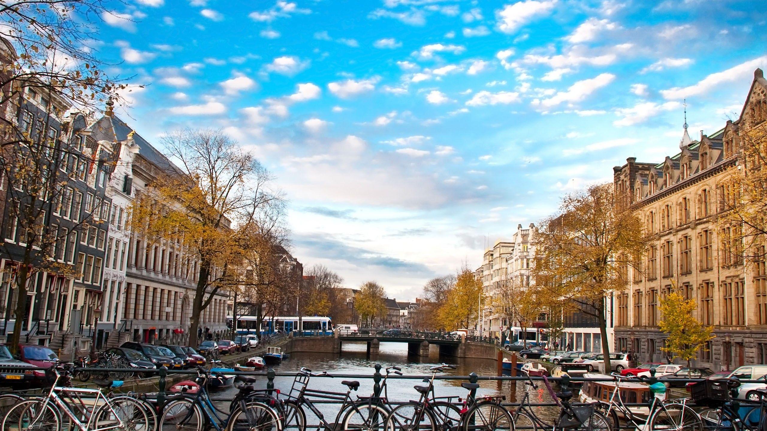 2560x1440 Amsterdam HQ Desktop Wallpaper 16588