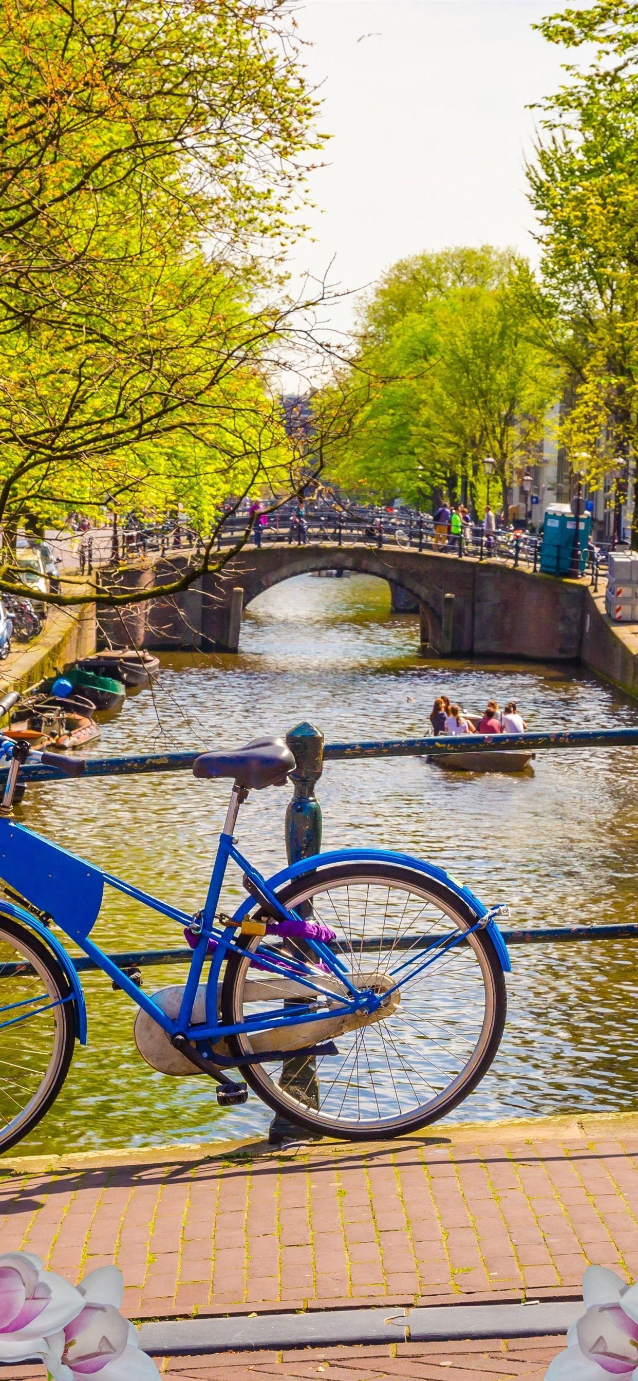 1242x2688 Netherlands, Amsterdam, Flowers, Bridge, Bike, City, River, Spring 1242x2688 IPhone 11 Pro XS Max Wallpaper, Background, Picture, Image