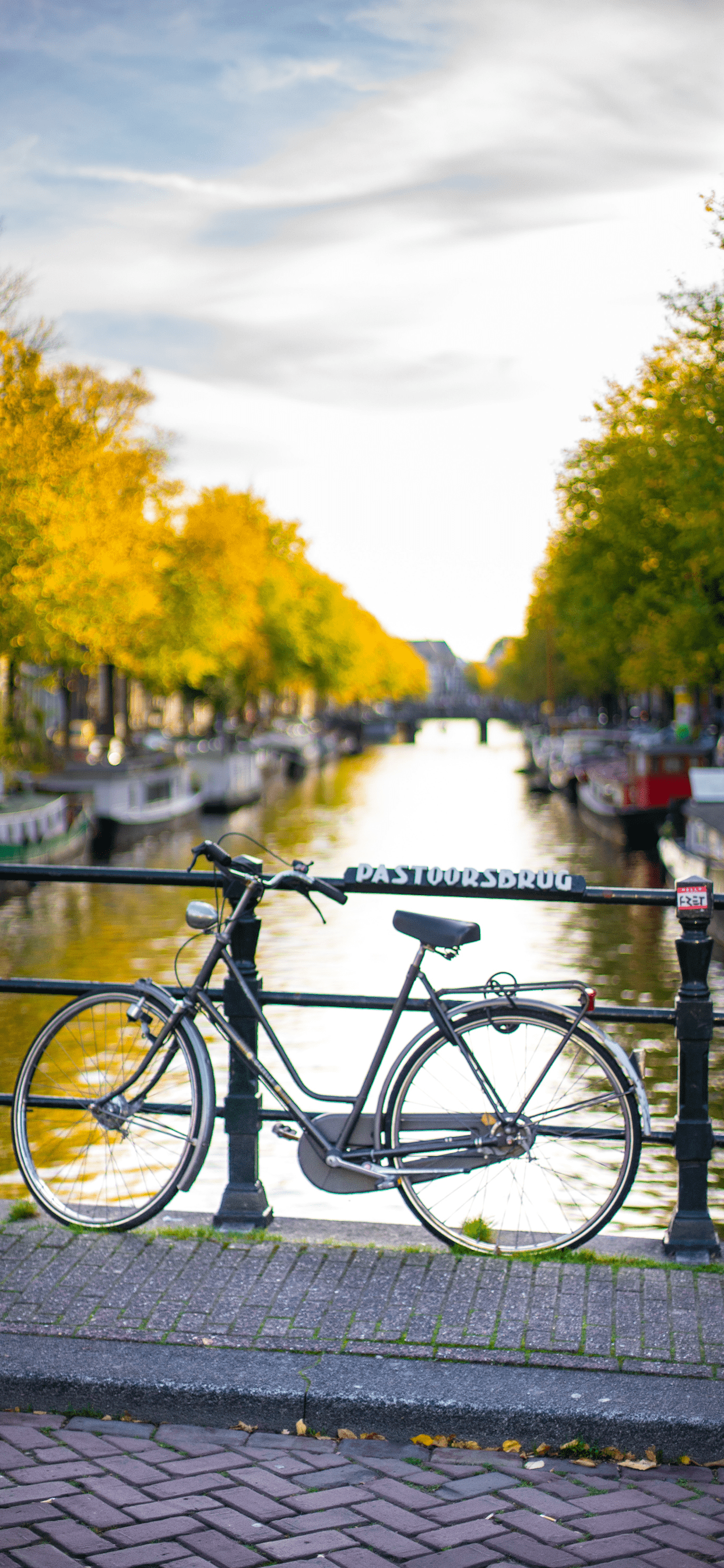 1242x2688 Bicycle Wallpaper for iPhone Pro Max, X, 6