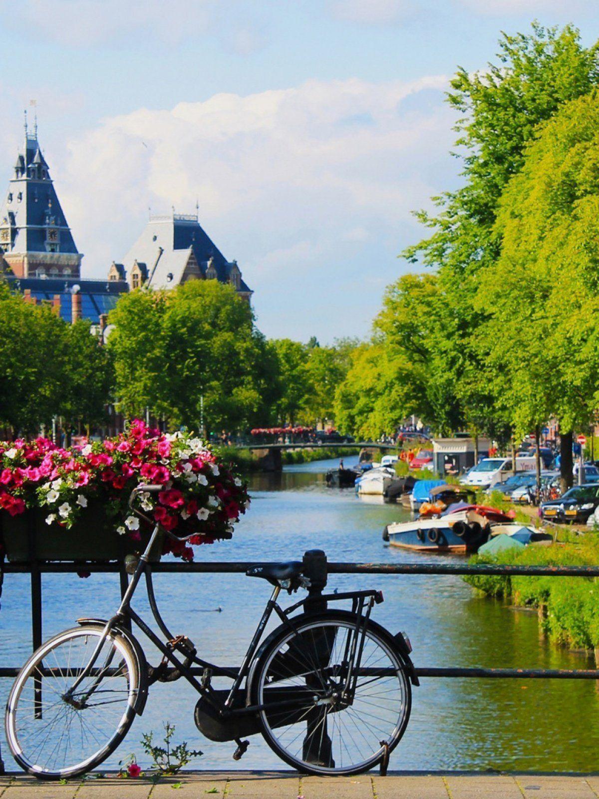 1200x1600 Amsterdam cycle beside the water park mobile wallpaper amsterdam cycle beside the water park mobile wallpaper Natural Dow. Mobile wallpaper, Water park, Wallpaper