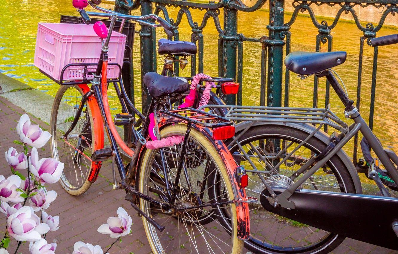 1332x850 Wallpaper bike, river, spring, Amsterdam, bicycle, flowering, bike, blossom, Amsterdam, flowers, old, spring, buildings, Netherlands, canal image for desktop, section город
