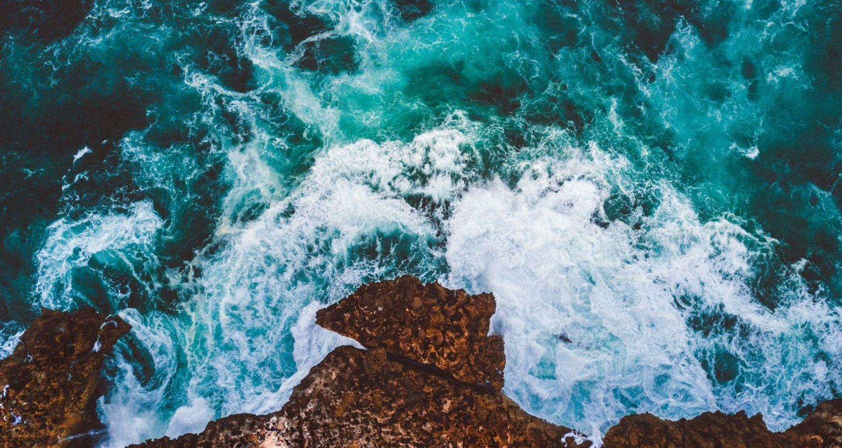 1690x900 New Findings Suggest That Oceans Can Be Restored By 2050