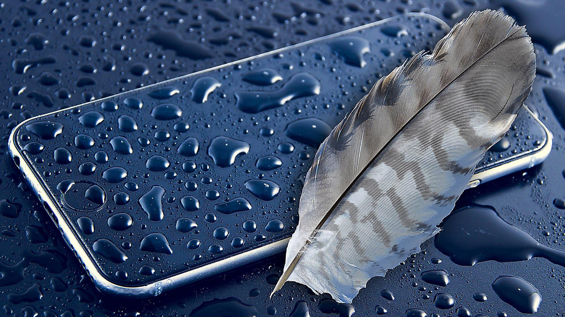 1920x1080 Apple Feather, HD Photography, 4k Wallpaper, Image, Background, Photo and Picture