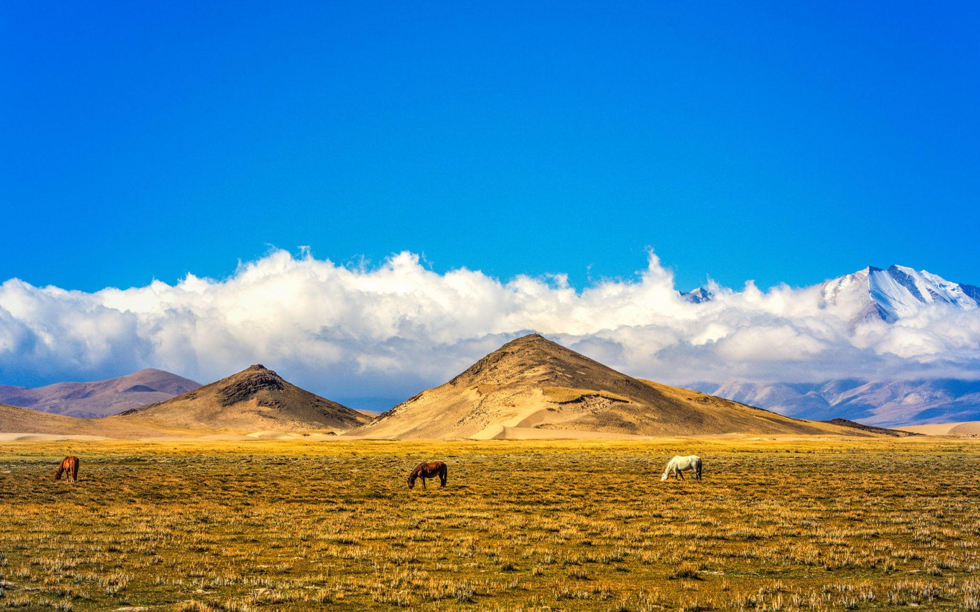 1920x1200 China Northern Tibet Pastures Field Hills Snow Blue Blue Sky Clouds Ultra HD Wallpaper For Desktop Laptop Tablet And Mobile Phones 3840x2160 :