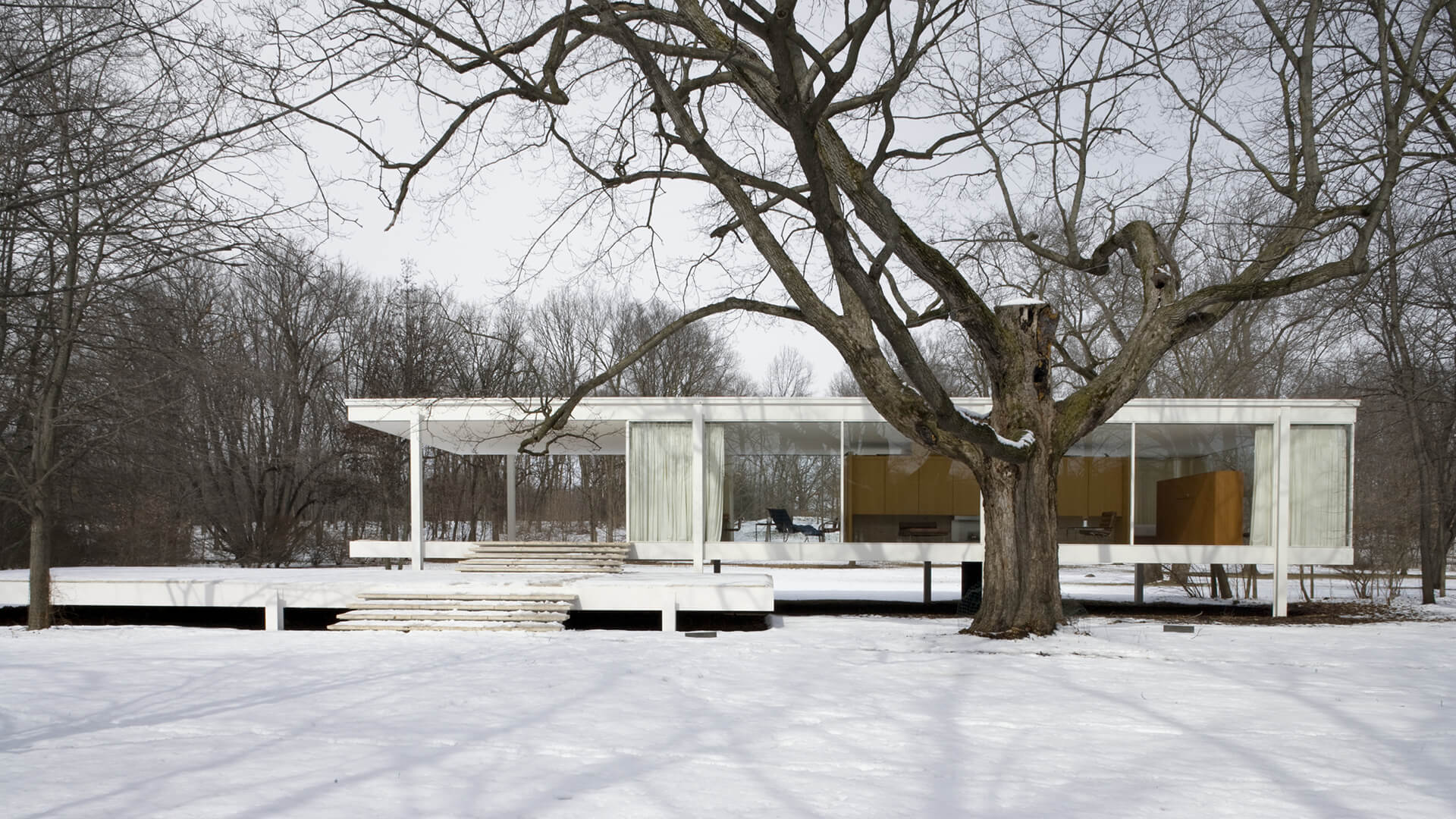 1920x1080 The icon of modern architecture, Ludwig Mies van der Rohe, and America