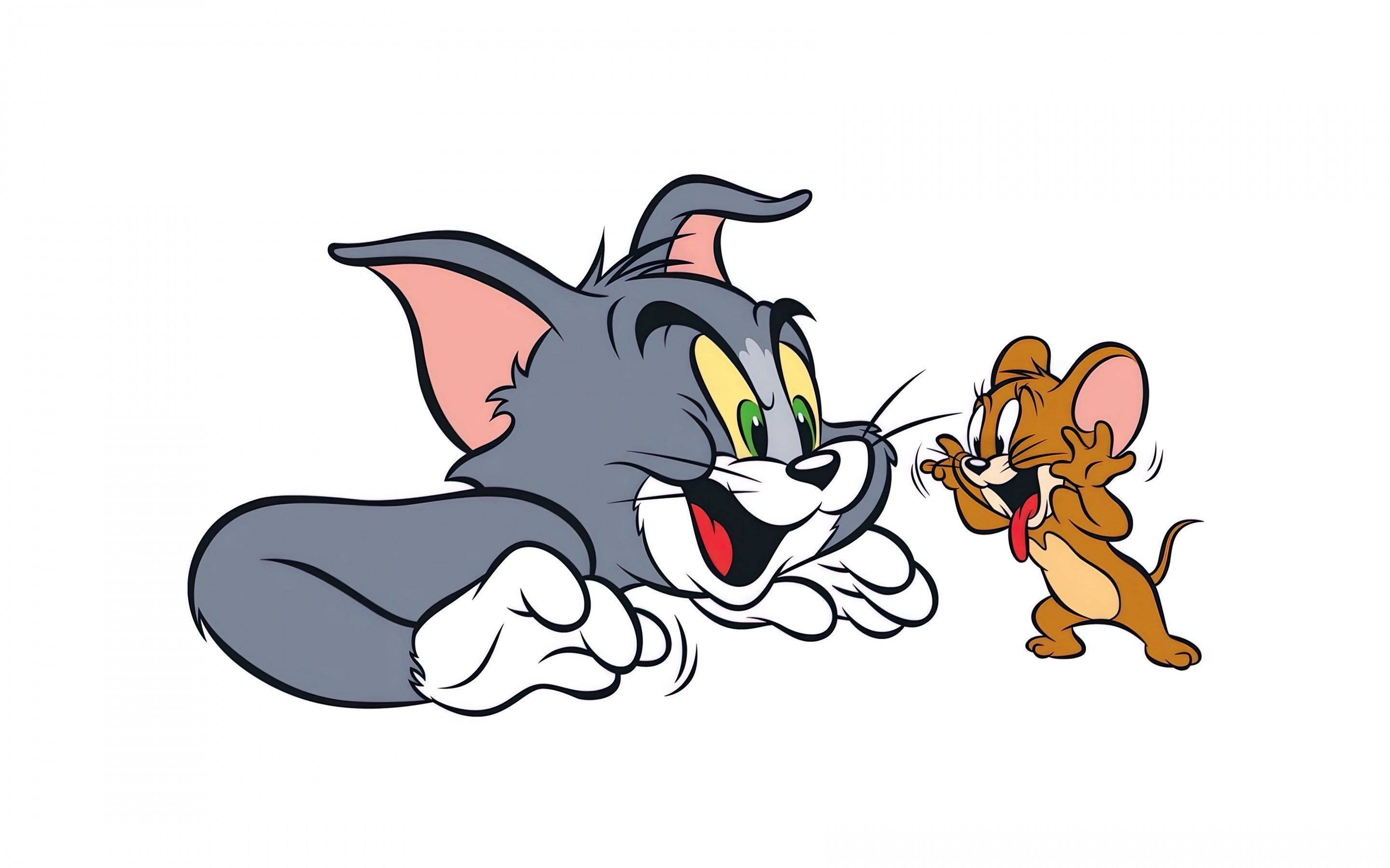 2880x1800 Tom & Jerry Wallpaper 4K, 8K, Cartoon, 5K, White background