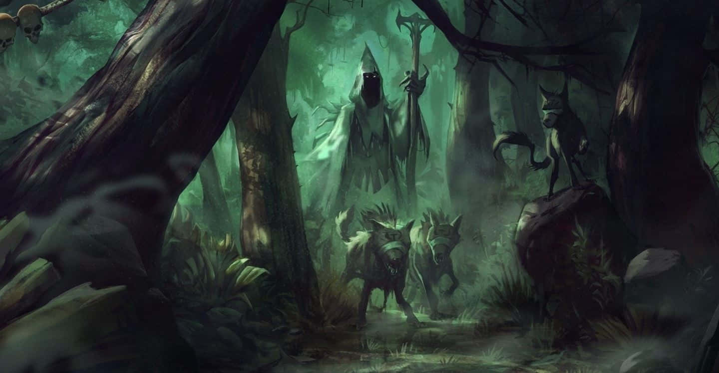 1440x748 Forest Witch Wallpaper