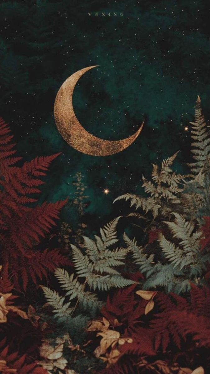 675x1200 Cottagecore forest phone wallpaper. Witchy forest wallpaper, Moon forest aesthetic wallpaper, Winter witch wallpaper