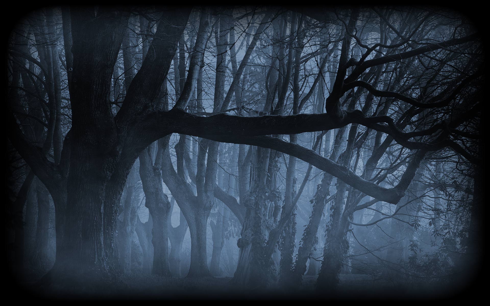 1920x1200 Background.Gallery. Background Hunt Uncommon