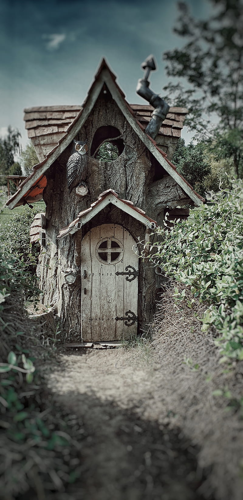 800x1646 Witch house, forest, wooden, HD phone wallpaper