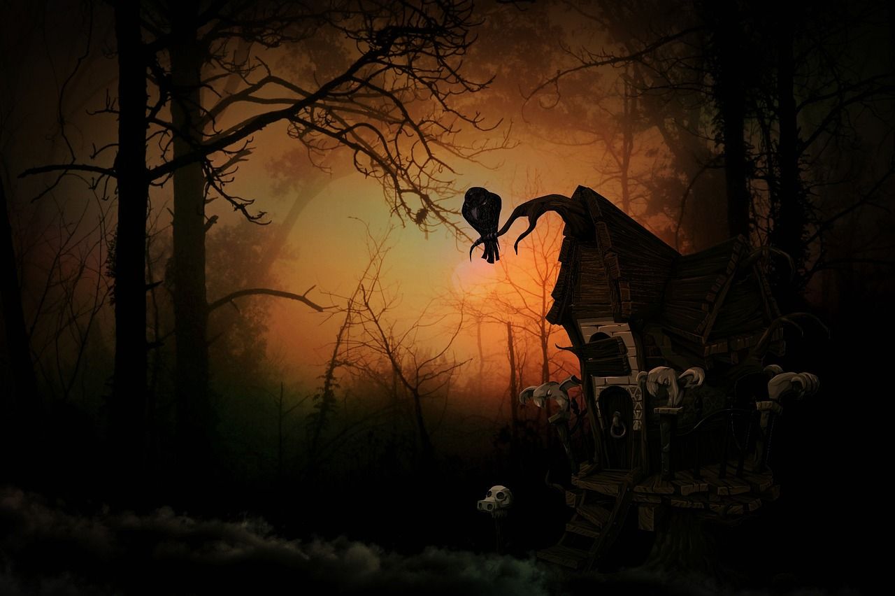 1280x852 Download free photo of Witch's house, creepy, forest, weird, mood