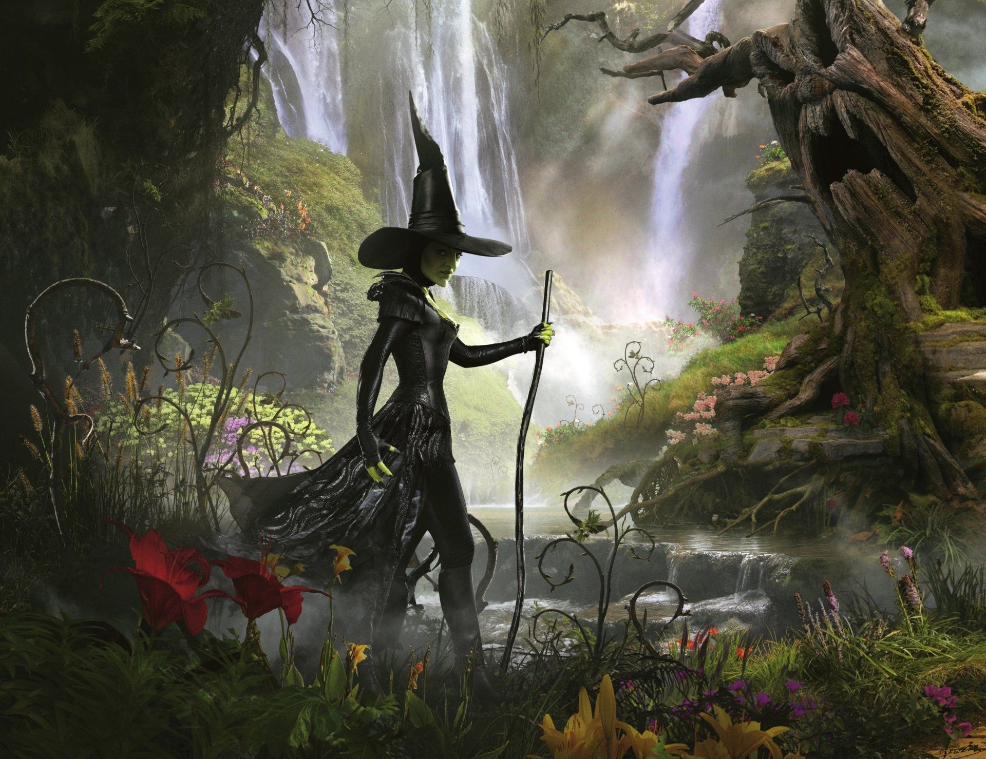 1920x1479 Enchanting Dark Forest: A HD Wallpaper from Oz the Great and Powerfulx2888