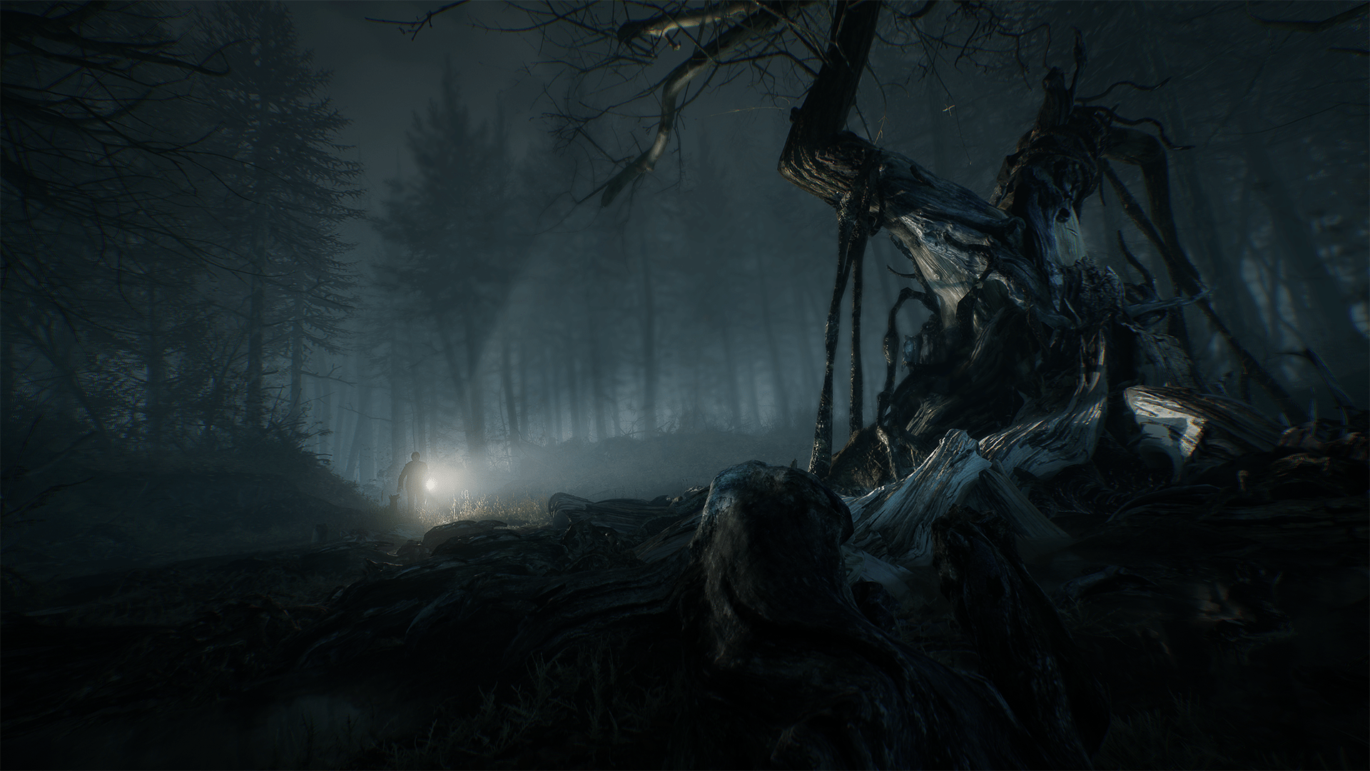 1920x1080 New Blair Witch Takes Youepy Woods in 4K