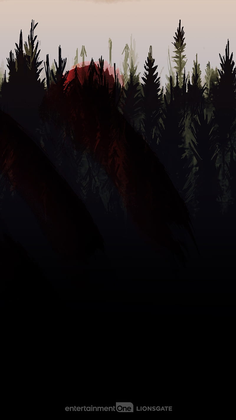 800x1422 HD witch of the woods wallpaper