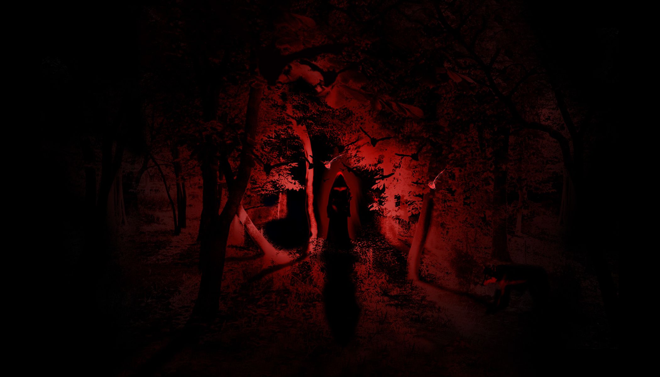 2100x1200 Wallpaper forest, light, night, horror, witch for mobile and desktop, section фантастика, resolution 2100x1200