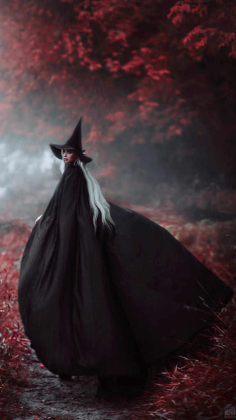 800x1422 Witch, black dress, black hat, fog, forest, girl, nature, red leaves, wizard, HD phone wallpaper