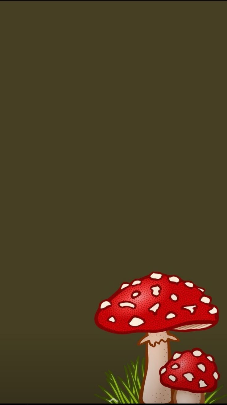 736x1315 Cute Little Mushroom Wallpaper. Mushroom background wallpaper aesthetic, Mushroom screen wallpaper, iPhone mushroom wallpaper