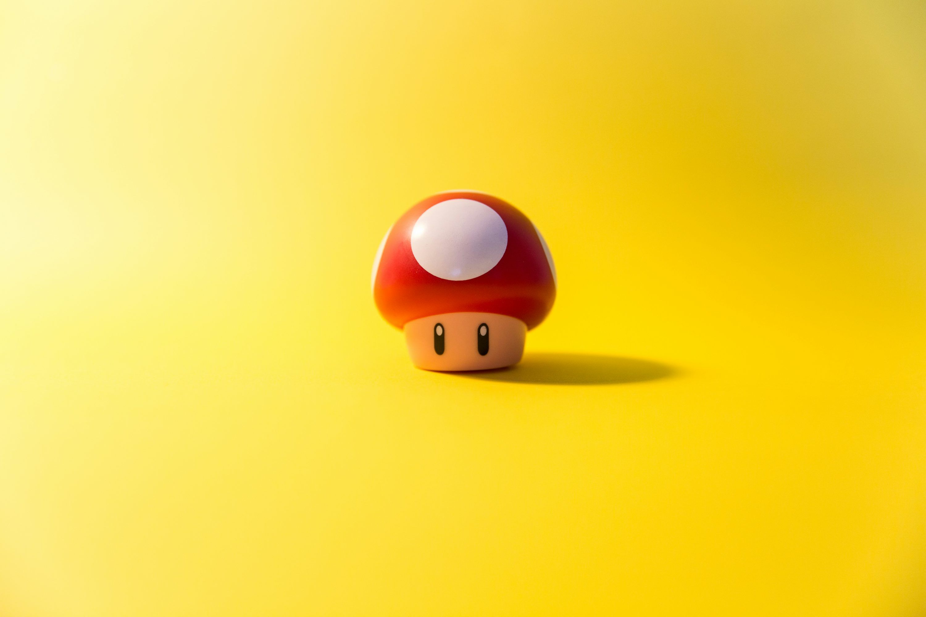 3000x2000 A small mushroom sitting on top of a yellow surface photo