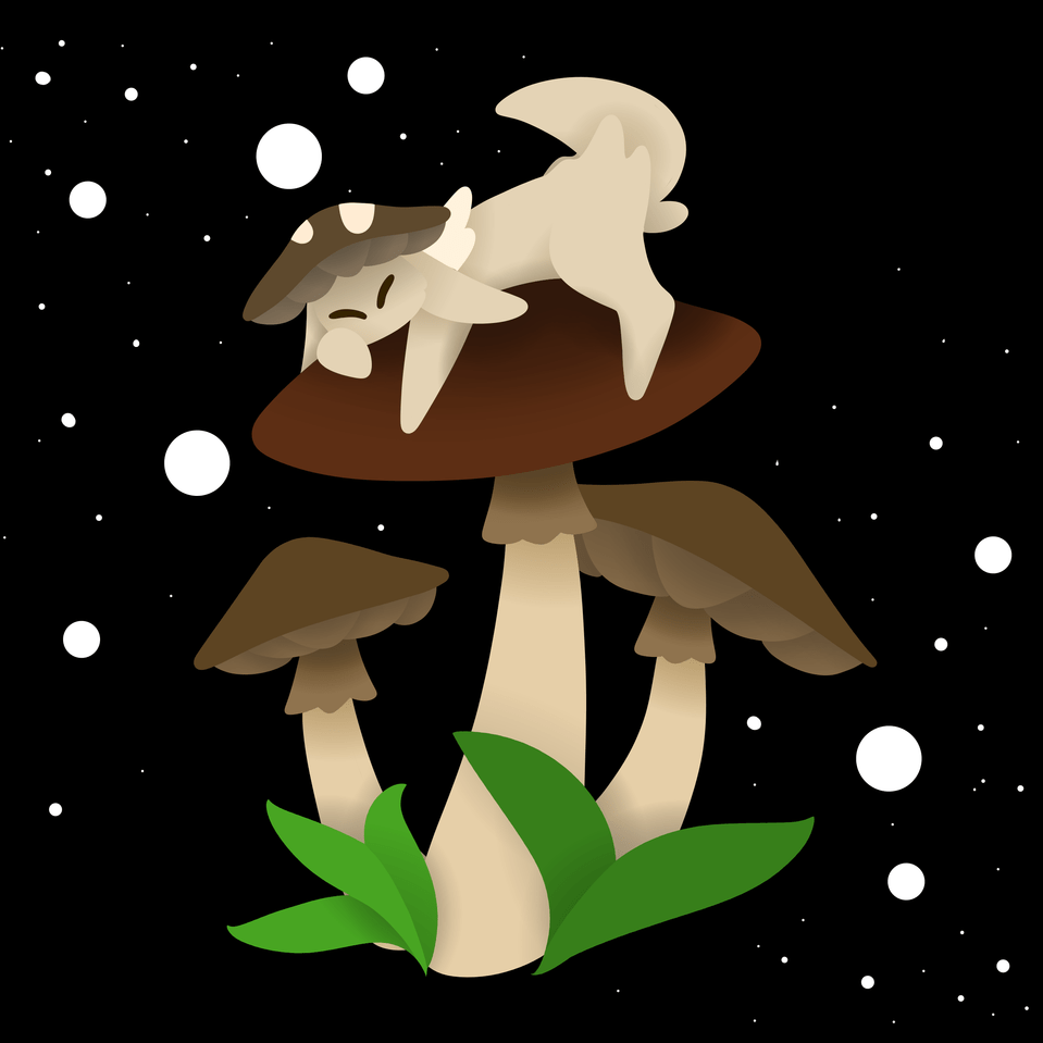 959x959 Little mushroom creature Zlittledritten ART street