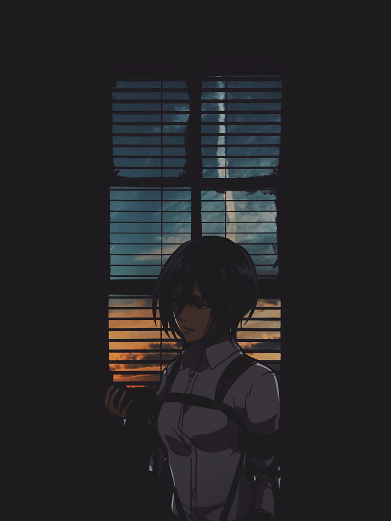 800x1067 Mikasa Ackerman, attack on titan, HD phone wallpaper