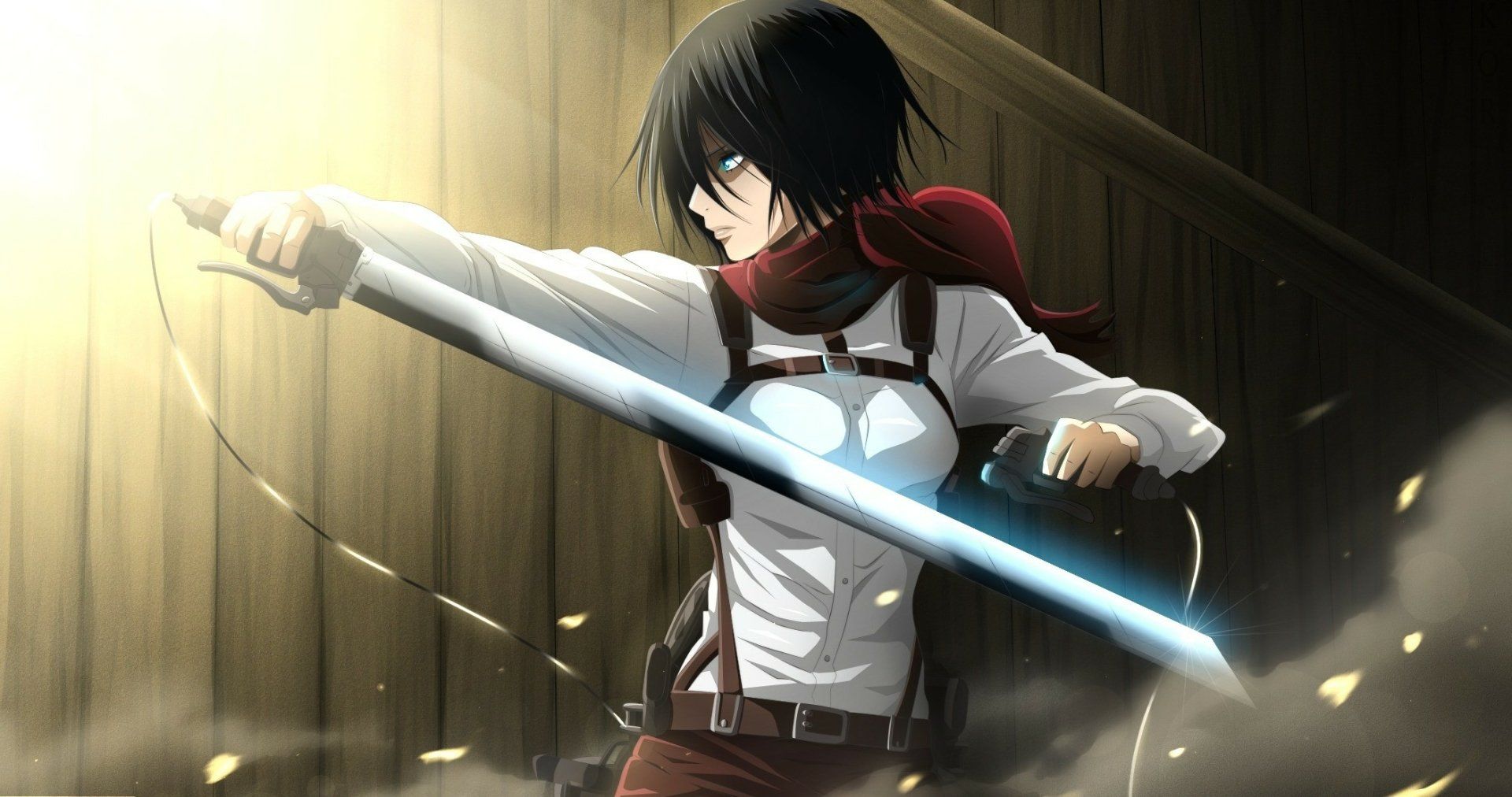 1920x1012 Attack on Titan Mikasa Ackerman HD Wallpaper