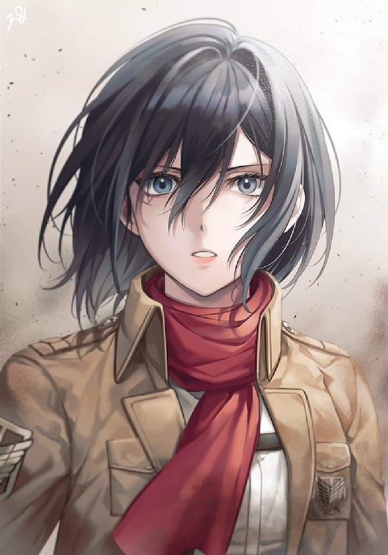 800x1142 Mikasa, anime, attack on titan, shingeki no kyojin, snk, HD phone wallpaper