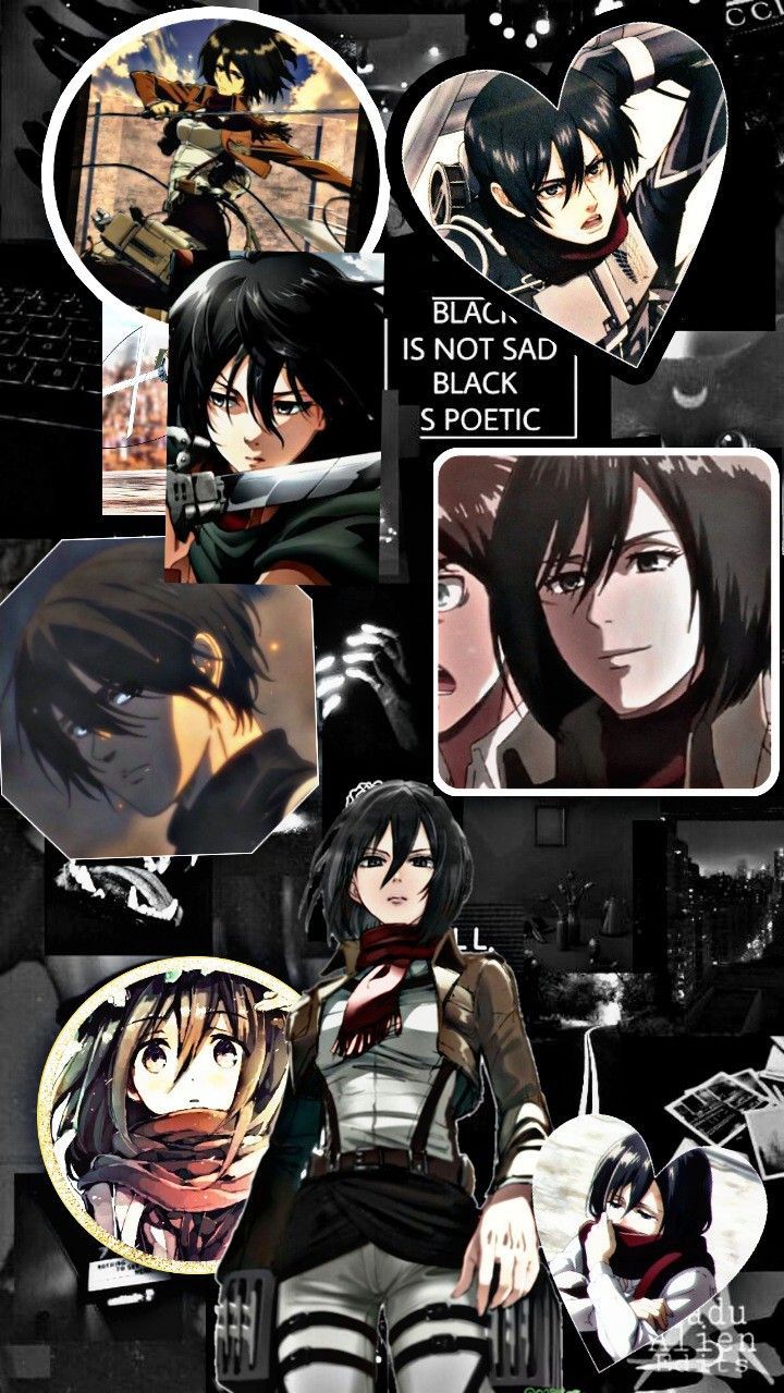 720x1279 Wallpaper Mikasa