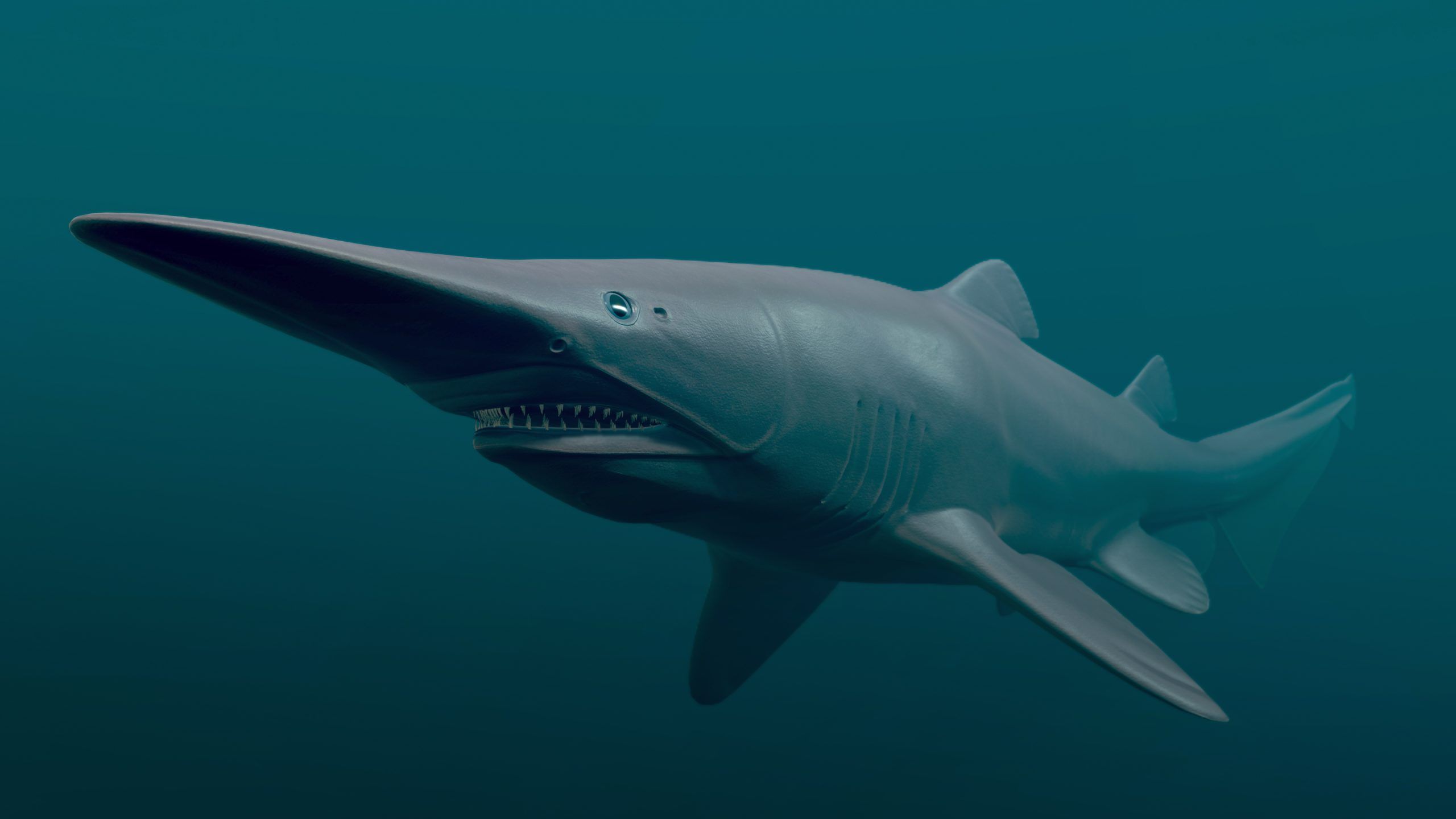 2560x1440 It's 6 metres long, ugly with translucent skin and looks like a goblin with a witch's nose and has the strangest jaw ever seen. Oh and it lives deep in the ocean