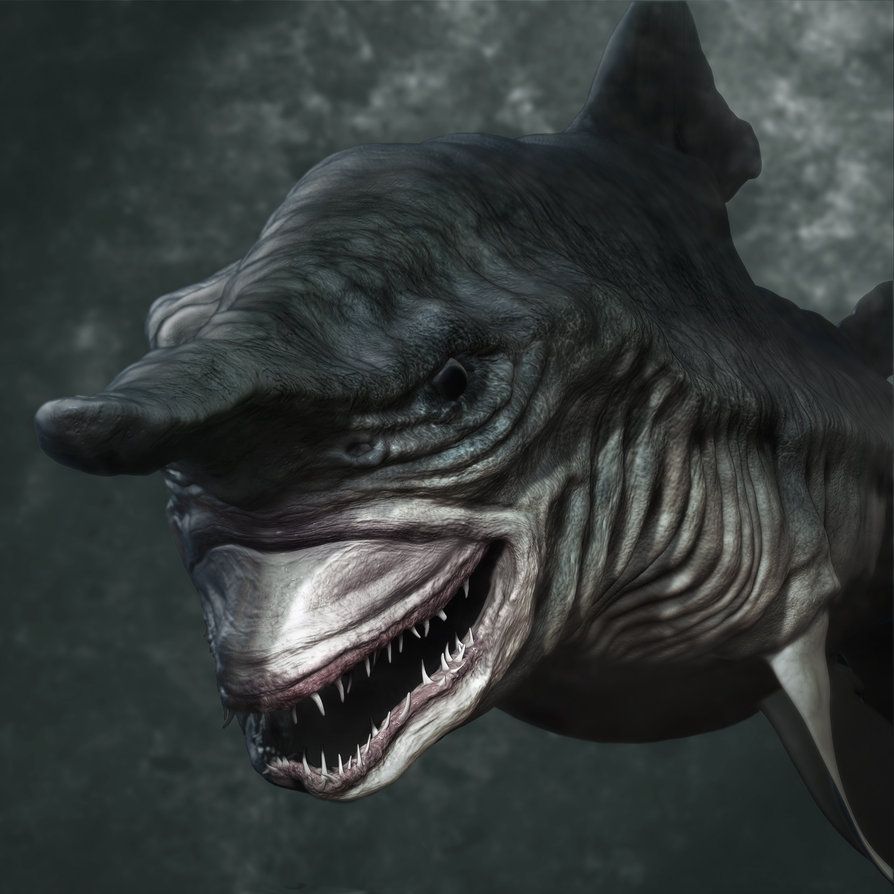 894x894 Goblin Shark Wallpaper