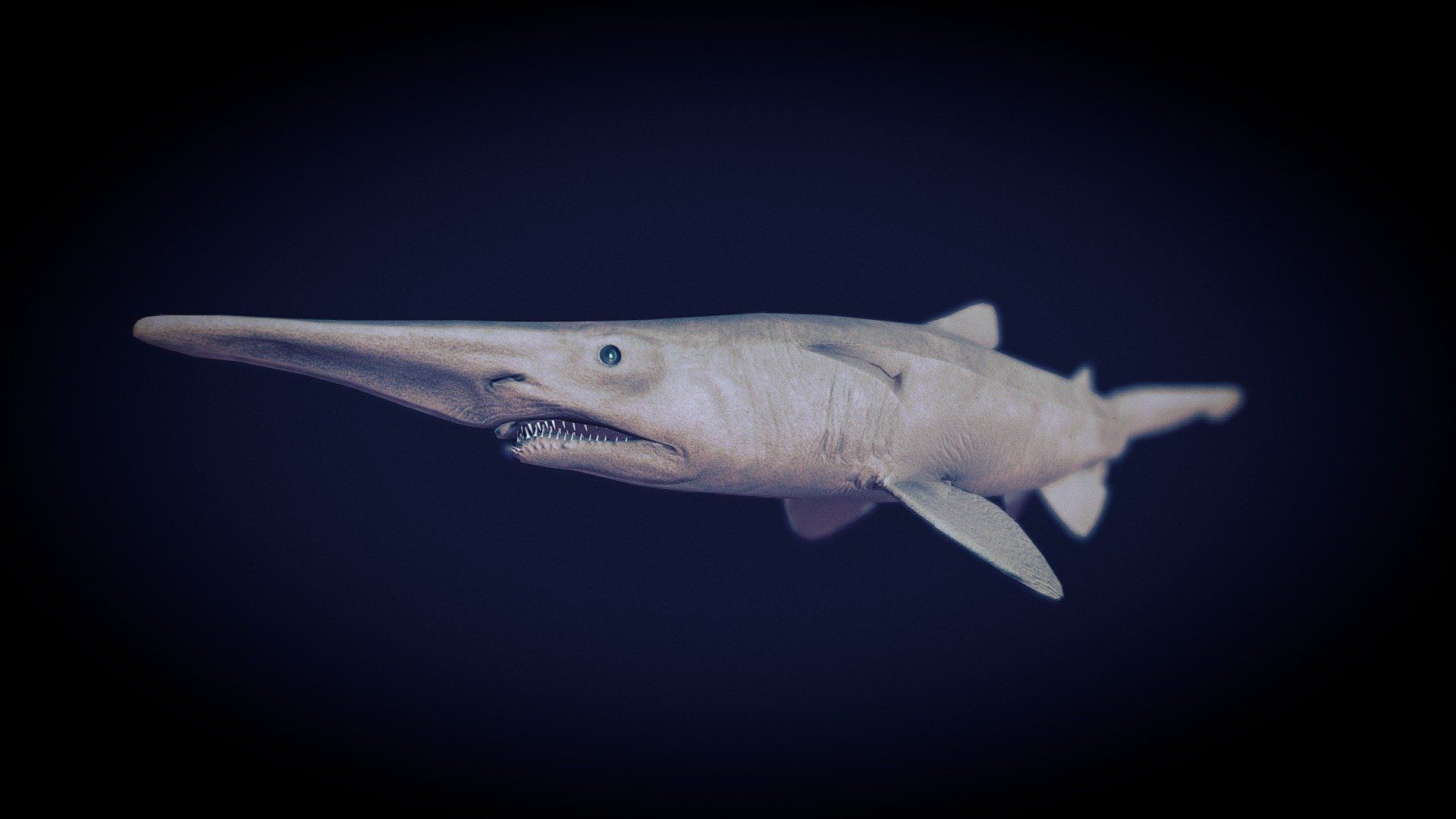 1920x1080 Goblin Shark -_- The Reef model by sharkingaround [bc1f6b4]