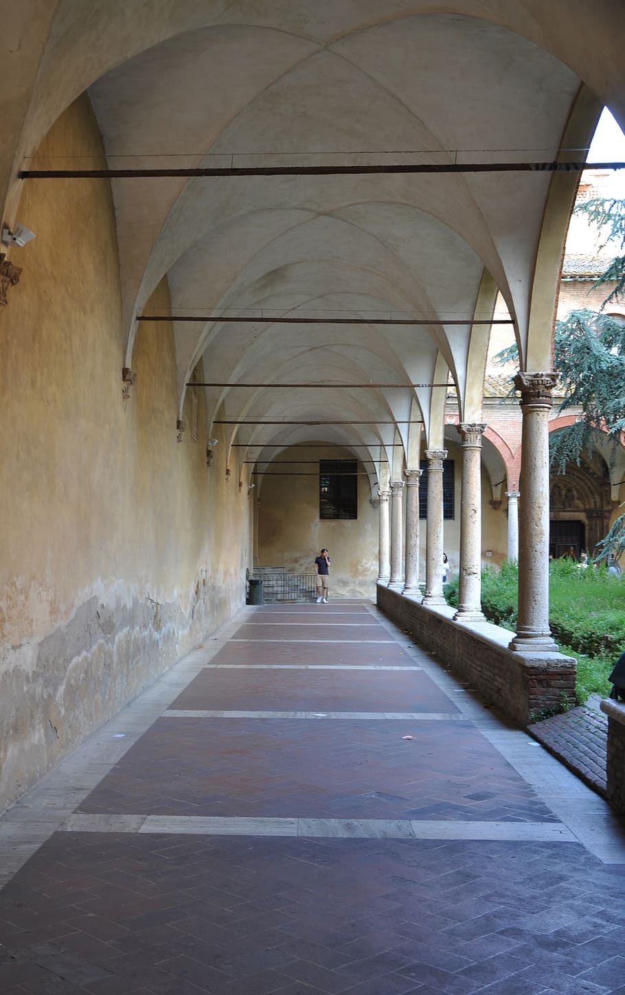 910x1449 HD wallpaper: italy, siena, university of siena, architecture, student, arches