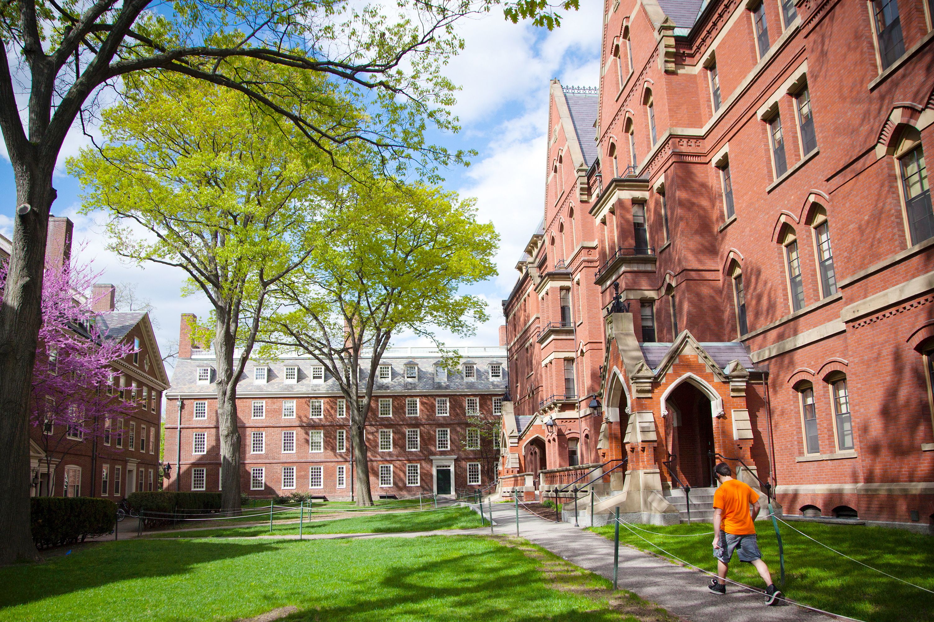 3000x2000 Harvard University Wallpaper