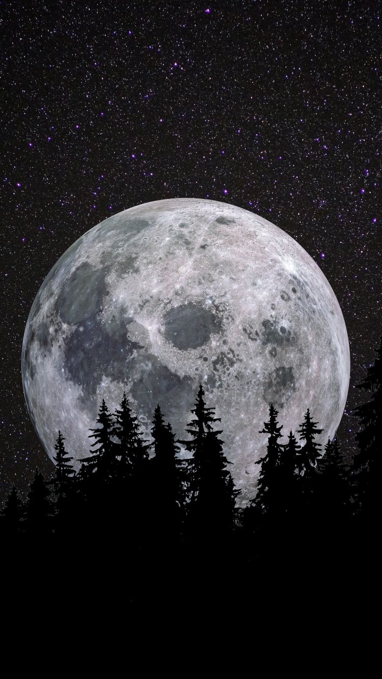 750x1334 Full moon Wallpaper 4K, Forest, Night, Dark, Starry sky