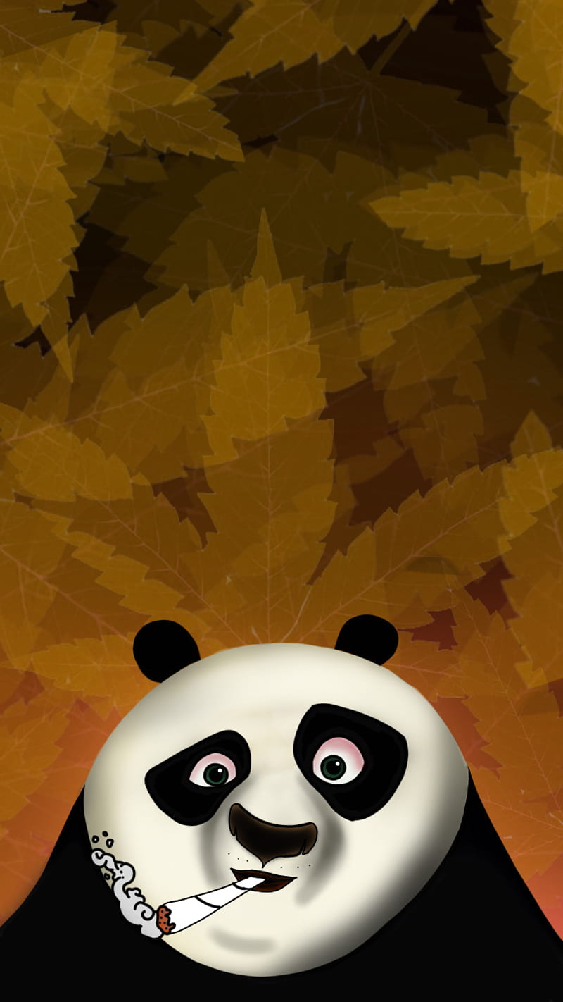 800x1422 HD kungfupanda wallpaper