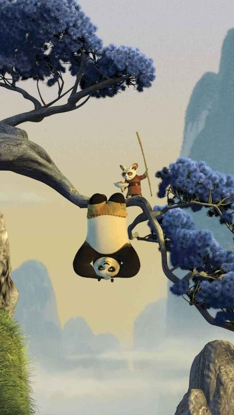 800x1422 Kung Fu Panda Training With Master, kung fu panda, training with master, panda, HD phone wallpaper