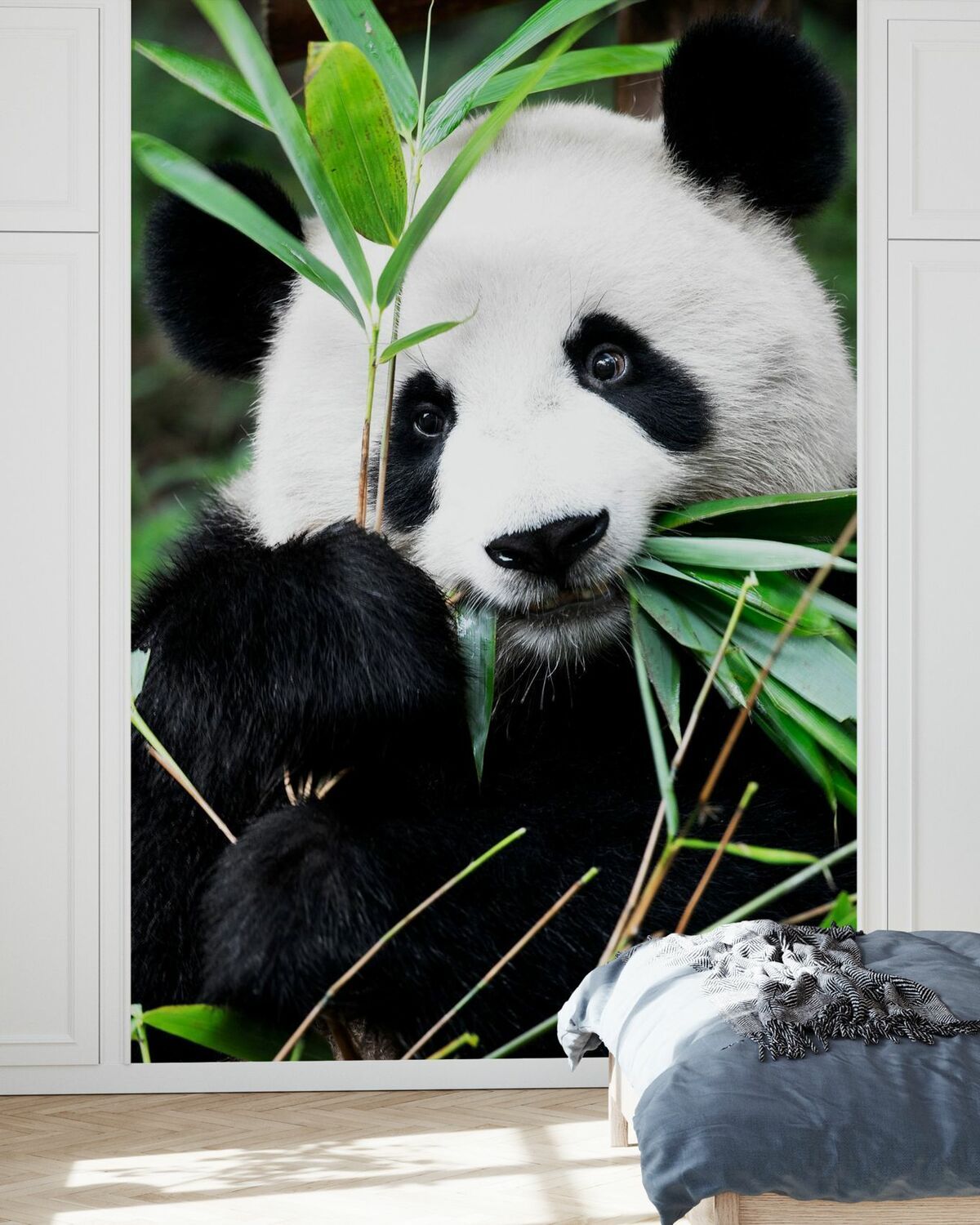 1200x1500 Giant Panda