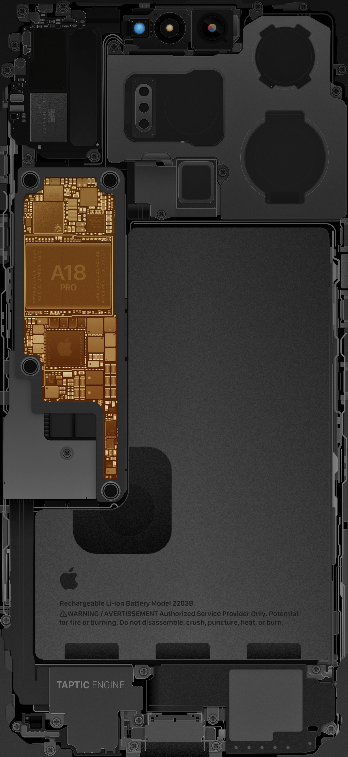 1206x2622 iPhone 16 Pro & Pro Max Internals Wallpaper
