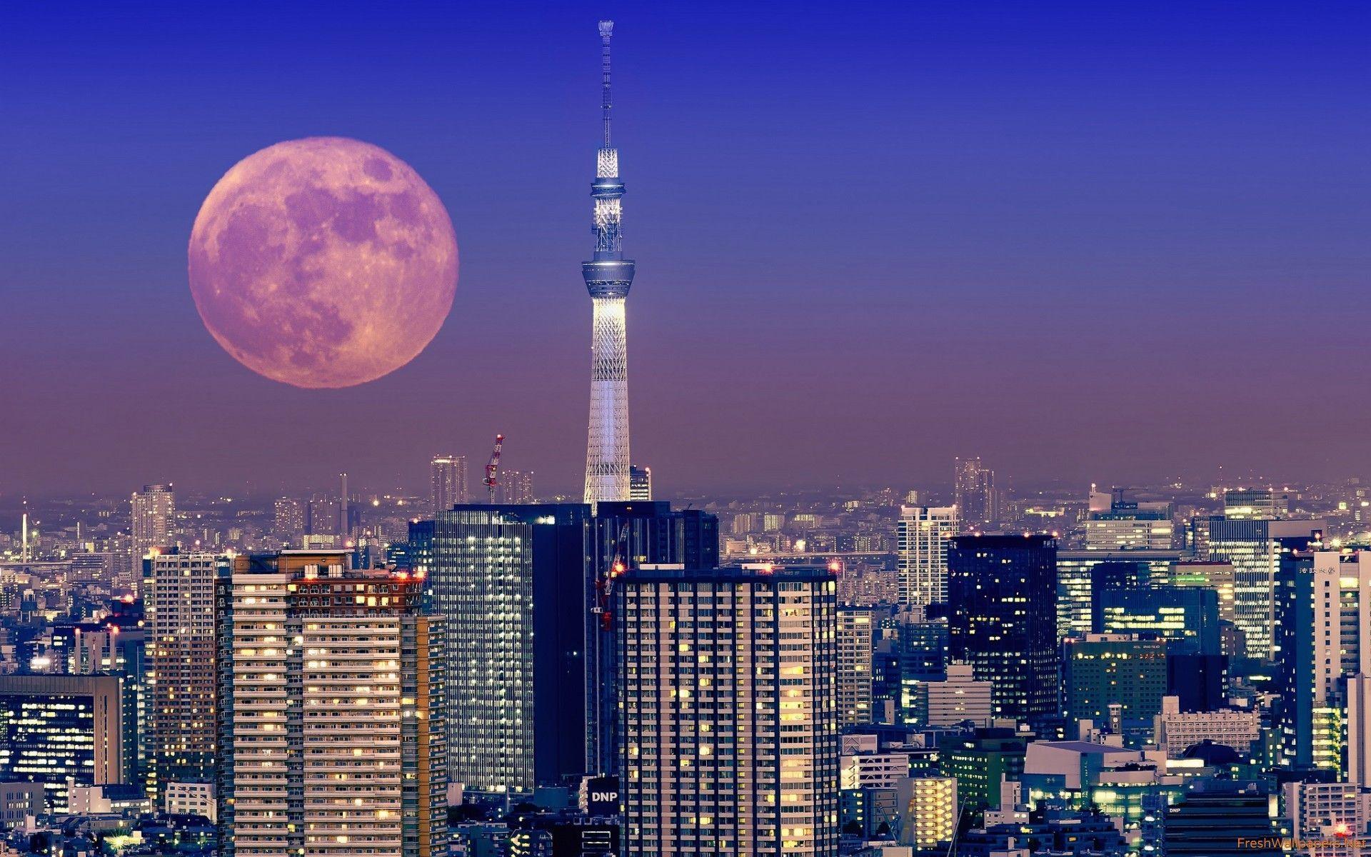 city skylines at night with moon