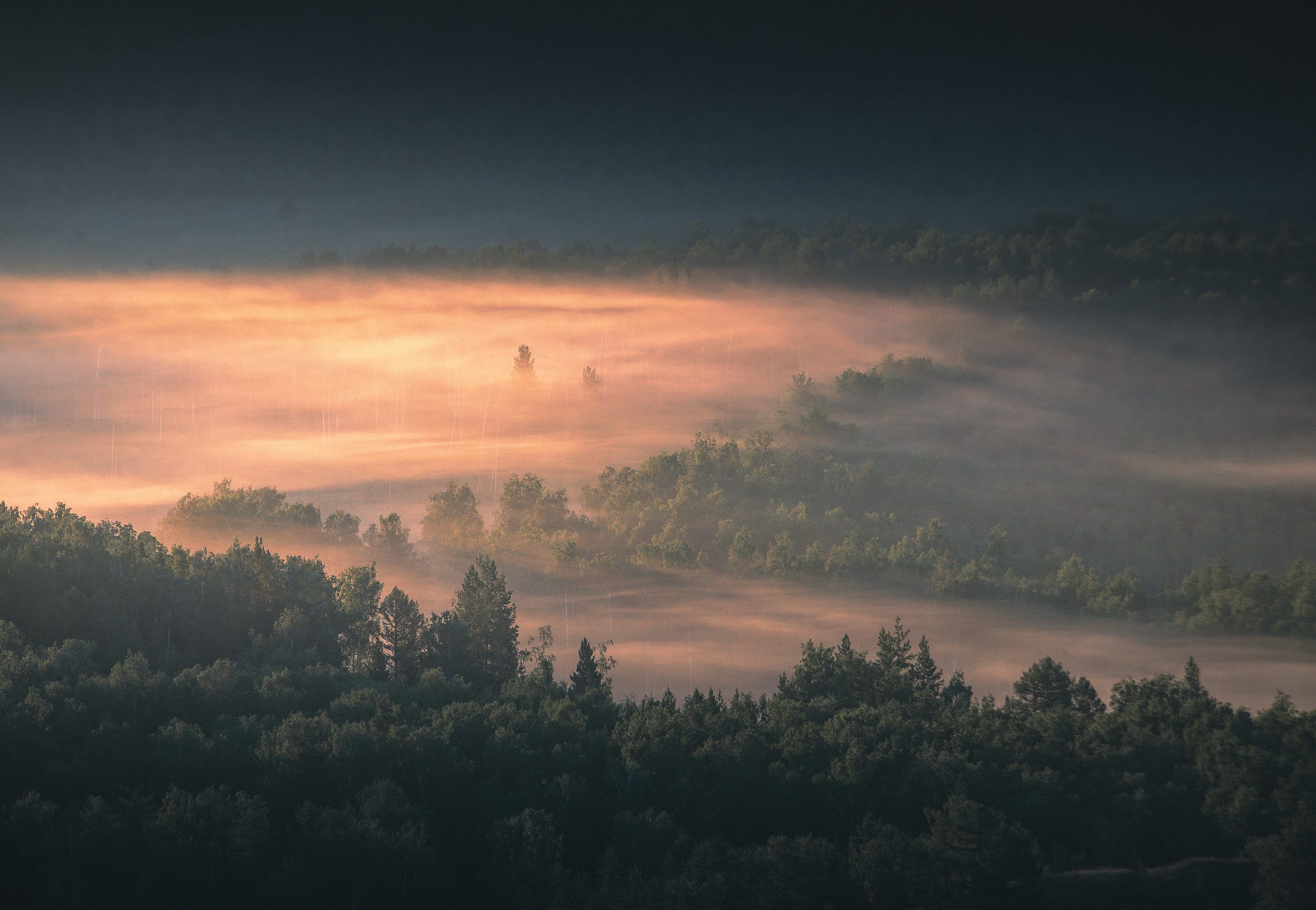 3000x2074 Misty forest landscape with warm sunlight breaking through photo