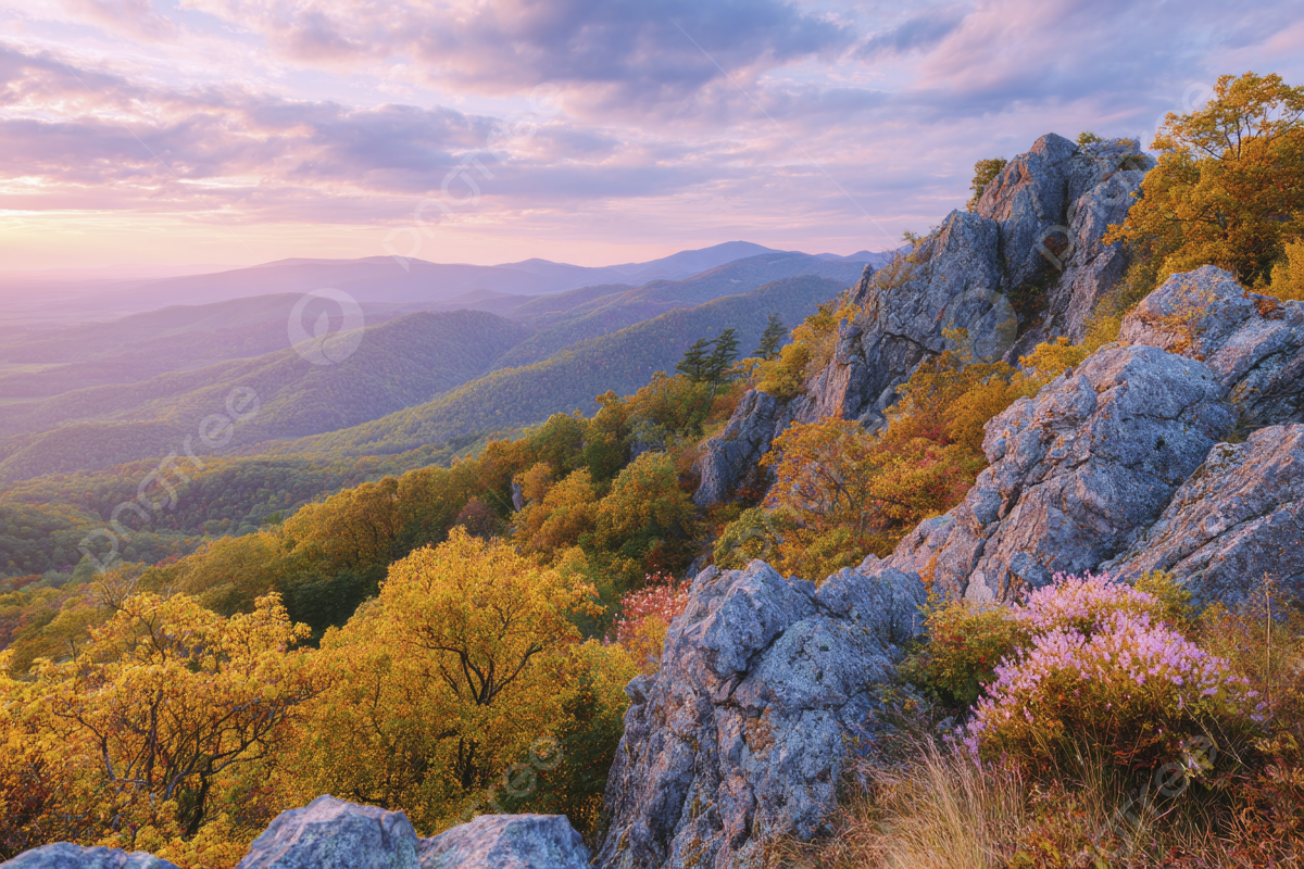 1200x800 Colorful Autumn Forest In The Valley A Stunning View From Above On Mountains And Rocks With Trees At Sunset Warm Light, Colorful, Forest, Valley Background Image And Wallpaper for Free Download